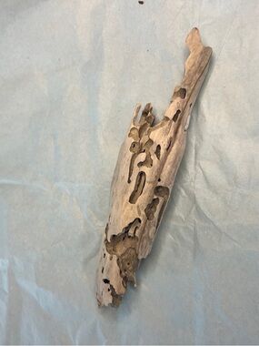 Natural driftwood from Potomac River - Light Brown